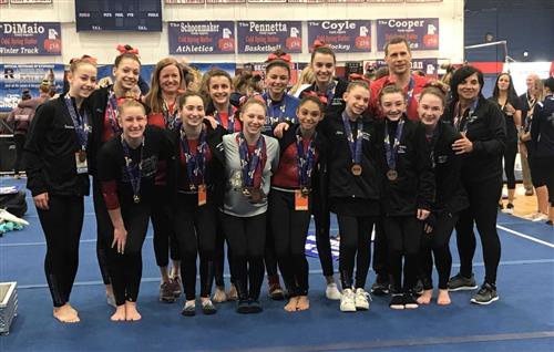 Section VIII - State Gymnastics Team 